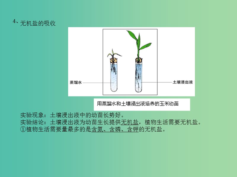 中考生物 专题12 吸收作用 蒸腾作用 运输作用复习课件 新人教版.ppt_第3页