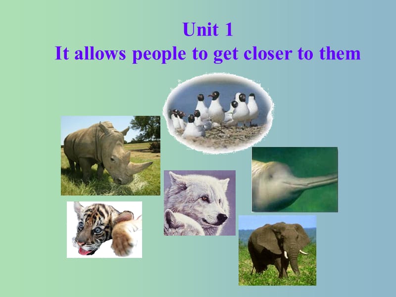 八年级英语上册 Module 6 Unit 1 It allows people to get closer to them课件 （新版）外研版.ppt_第2页