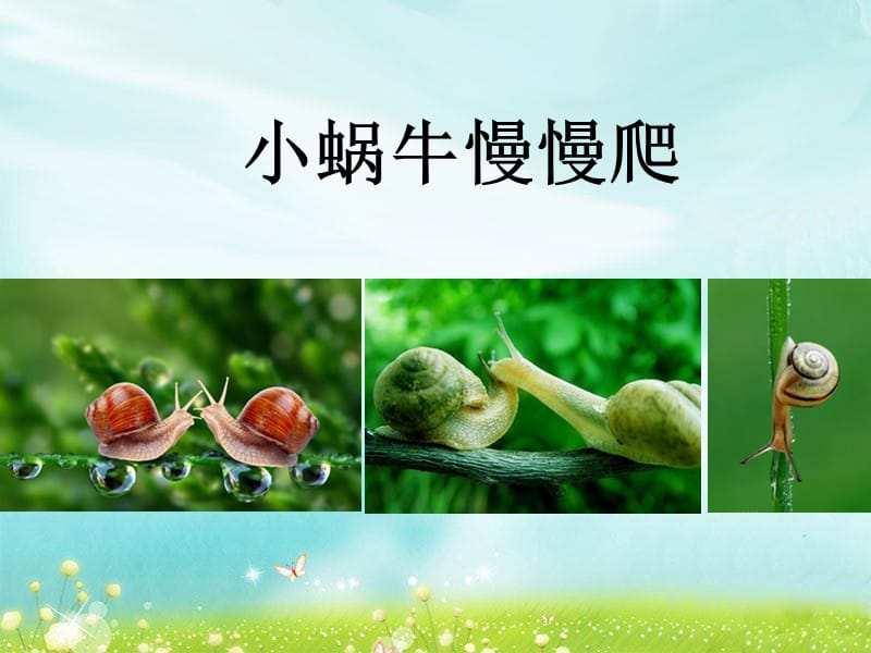 《小蜗牛慢慢爬》参考课件.ppt_第1页