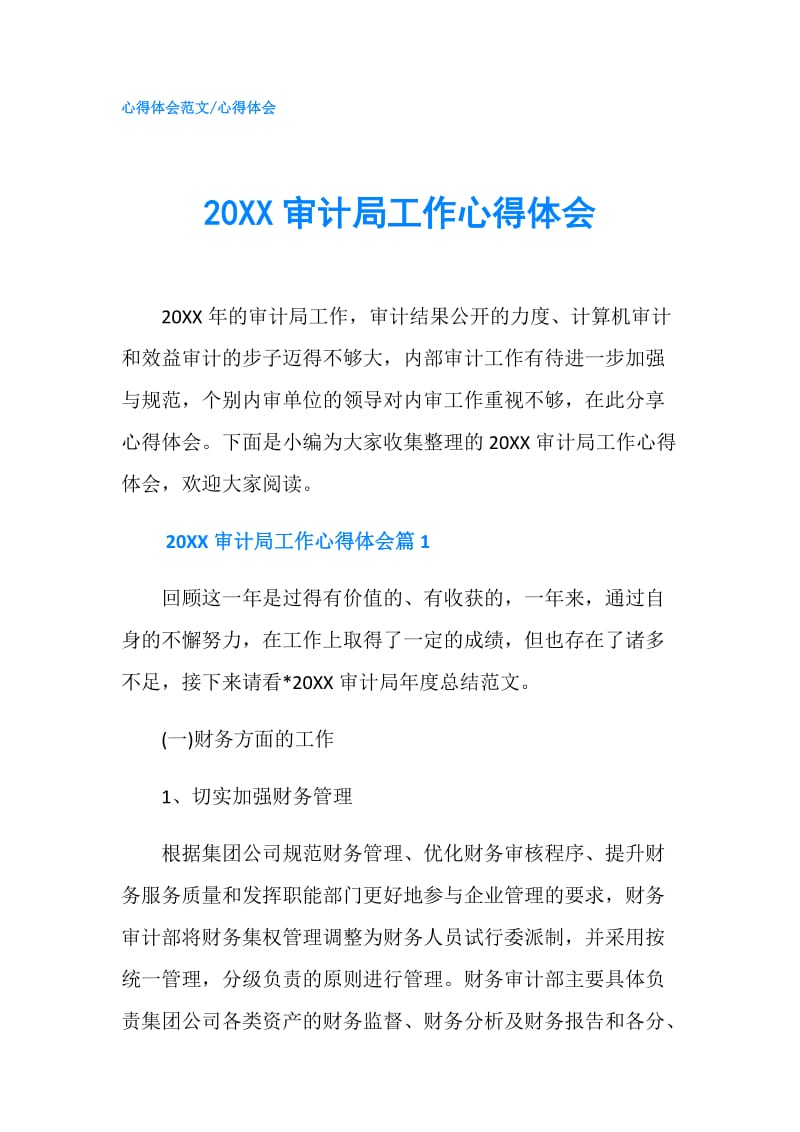 20XX审计局工作心得体会.doc_第1页