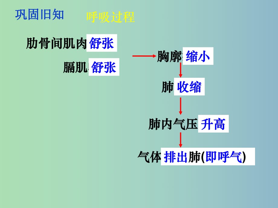 七年級(jí)生物下冊 4.4.1 流動(dòng)的組織—血液課件 （新版）新人教版.ppt_第1頁