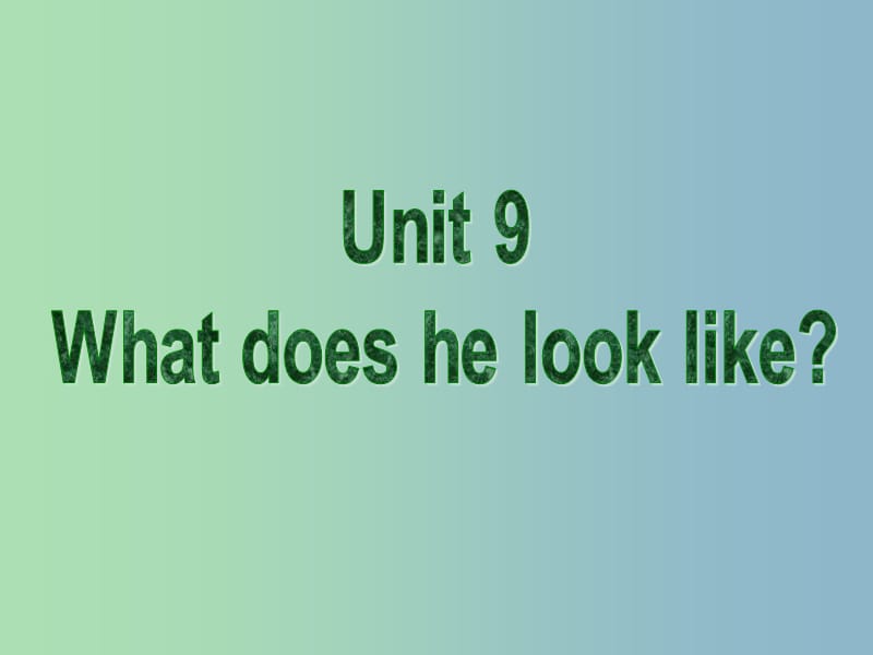 七年级英语下册 Unit 9 What does he look like课件3 （新版）人教新目标版.ppt_第2页