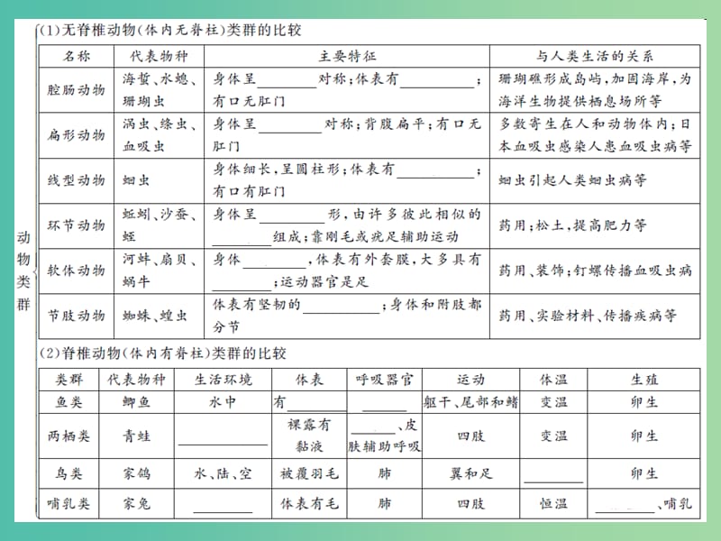 中考生物第一轮系统复习篇 第五单元 第一章 动物的主要类群课件.ppt_第3页