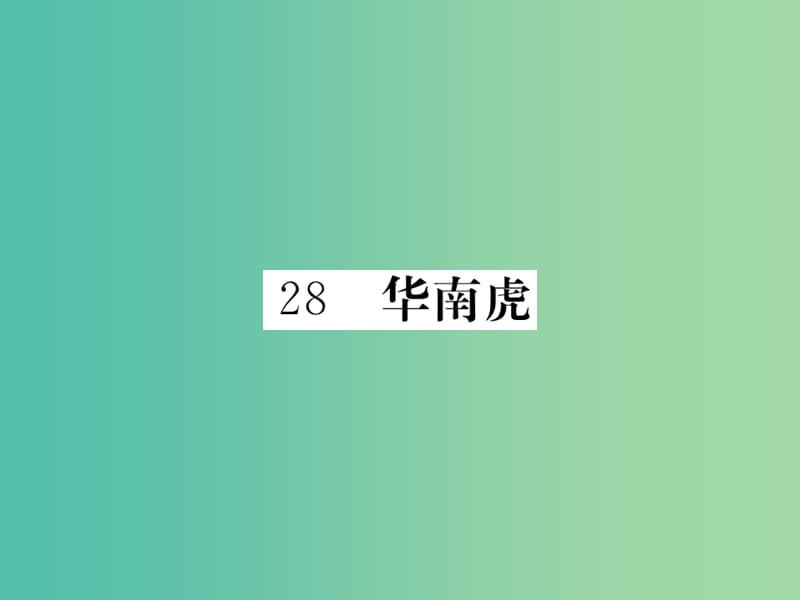 七年级语文下册 第六单元 28 华南虎作业课件 新人教版.ppt_第1页