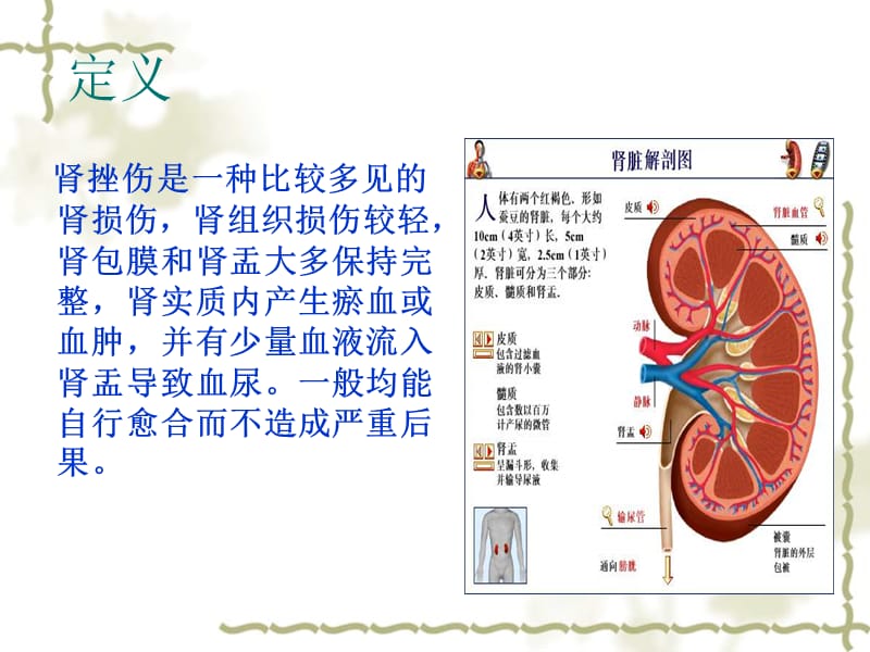 肾挫伤的业务学习.ppt_第2页