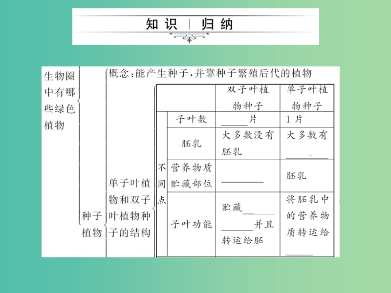 中考生物第一轮系统复习篇 第三单元 第一章 生物圈中有哪些绿色植物课件.ppt_第3页