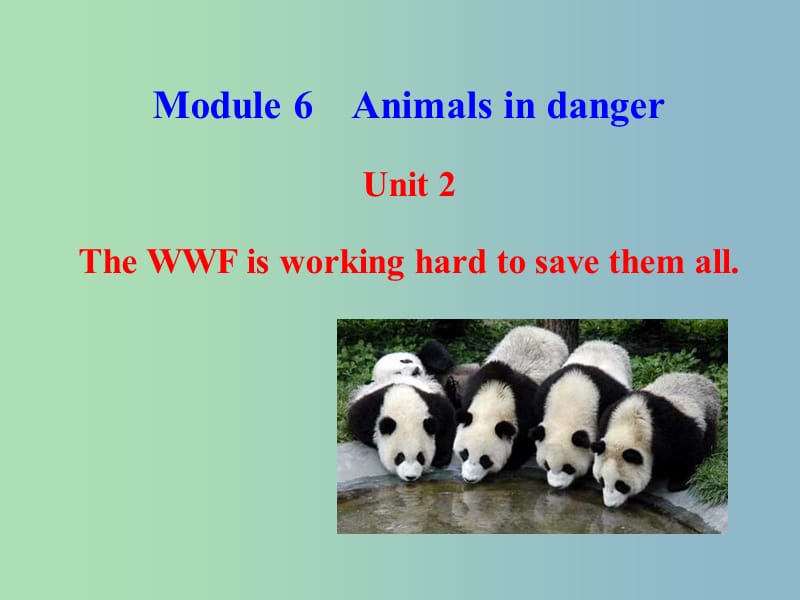 八年级英语上册 Module 6 Unit 2 The WWF is working hard to save them all课件 （新版）外研版.ppt_第1页