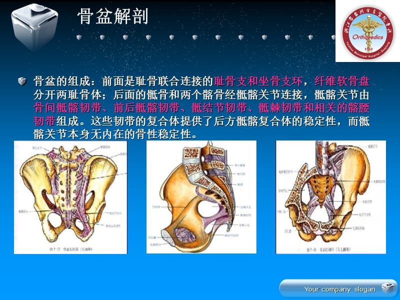 骨盆骨折的分型及治疗.ppt_第3页