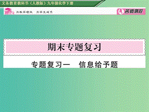 九年級化學(xué)下冊 專題復(fù)習(xí)一 信息給予題課件 （新版）新人教版.ppt