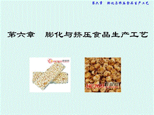 膨化與擠壓食品生產(chǎn)工藝.ppt