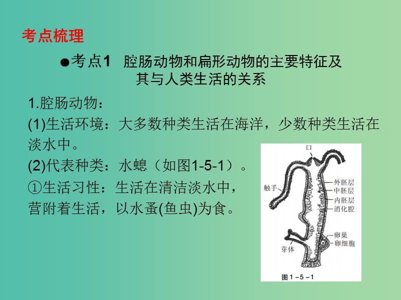 中考生物 第一部分 教材考点同步解析 第五单元 生物圈中的其他生物（第1课时）复习课件 新人教版.ppt_第2页