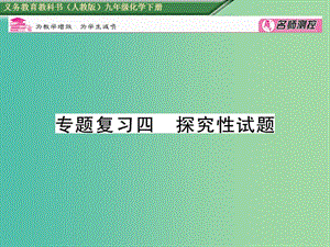 九年級化學(xué)下冊 專題復(fù)習(xí)四 探究性試題課件 （新版）新人教版.ppt