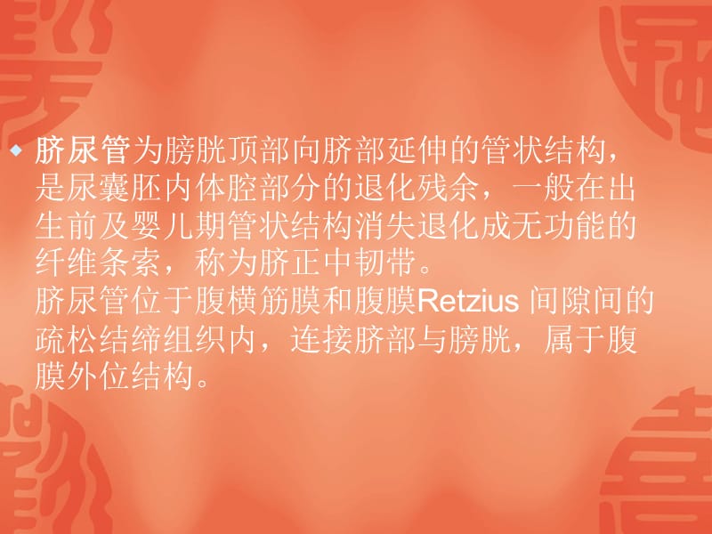 脐尿管病变的CT表现.ppt_第2页