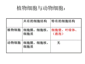 細(xì)胞分裂與分化.ppt