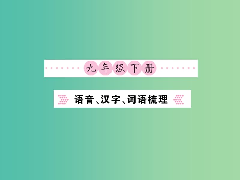 中考语文 九下 语言、汉字、词语梳理课件.ppt_第1页