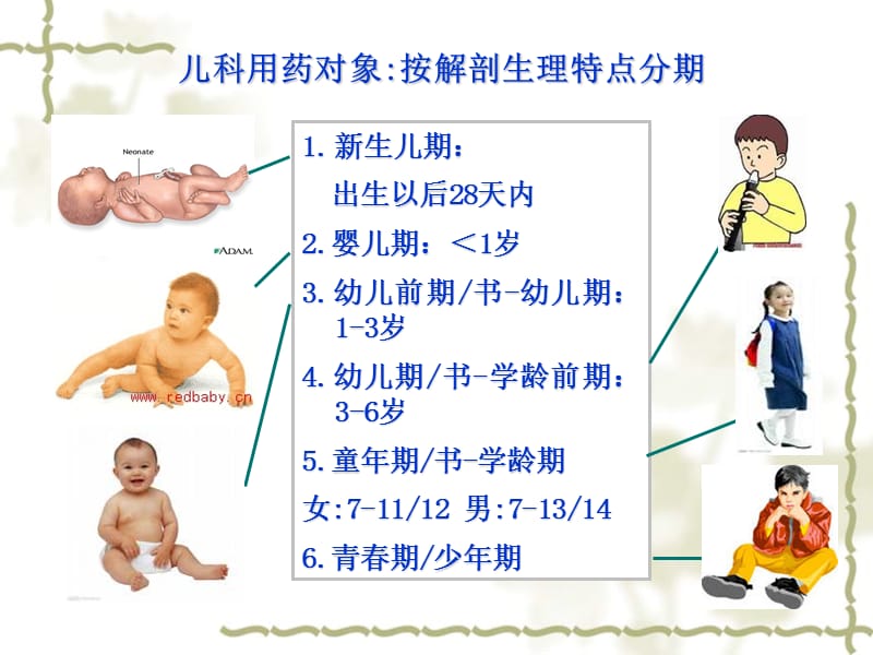 儿童用药安全知识PPT.ppt_第3页