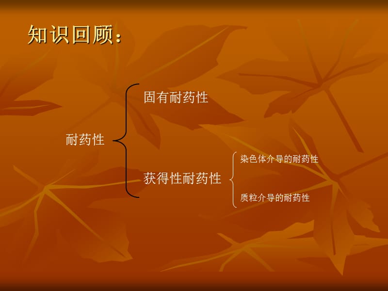 细菌的耐药性机制.ppt_第3页