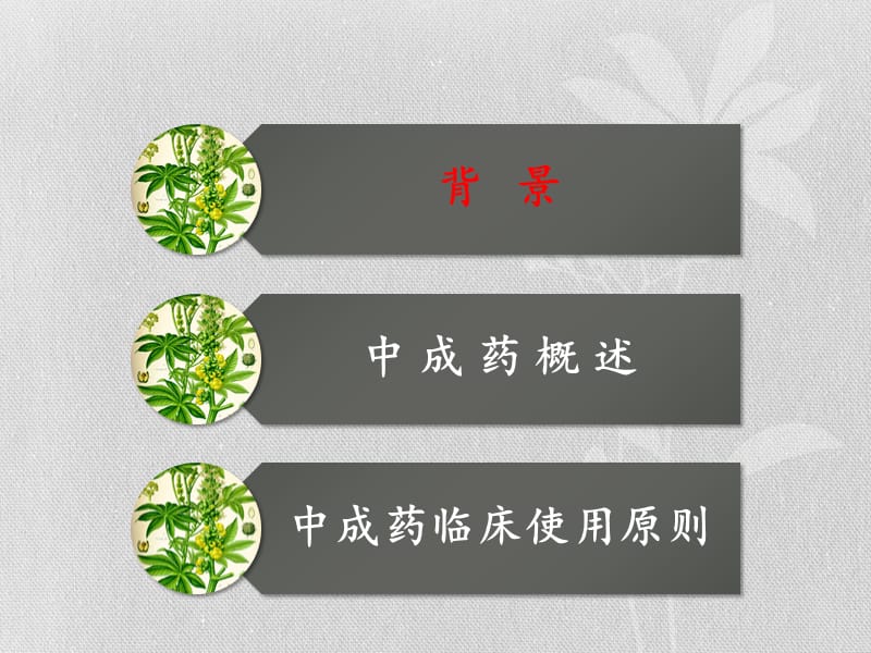 中成药合理应用.ppt_第3页