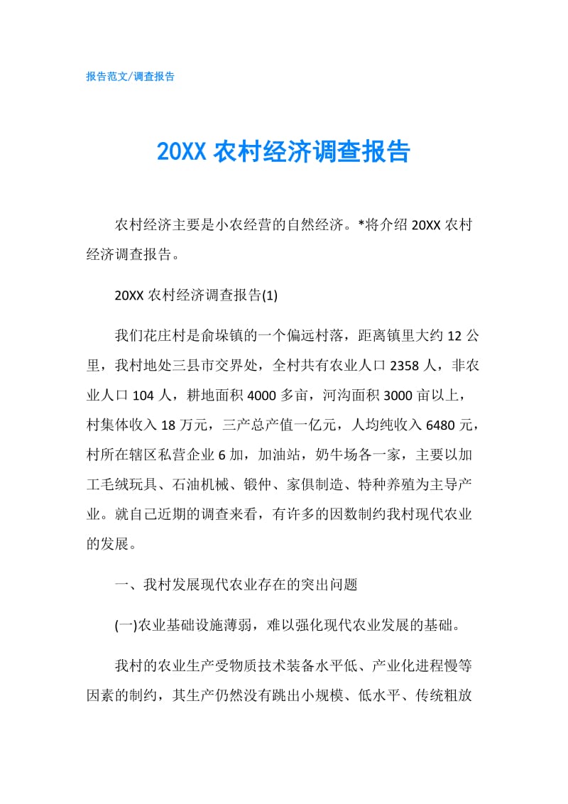20XX农村经济调查报告.doc_第1页