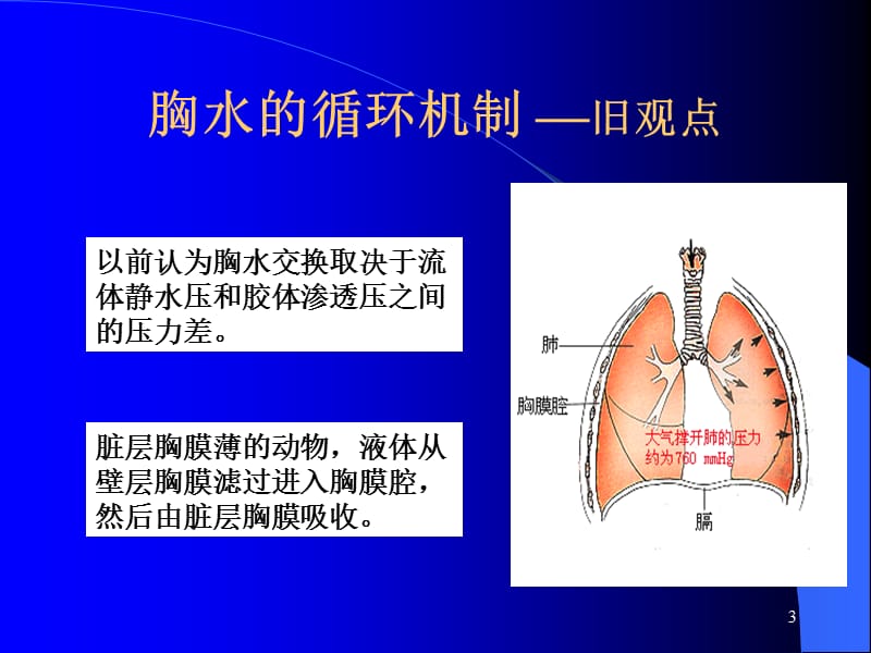 胸腔积液的诊断和鉴别诊断及结核性胸膜炎的治疗-科室讲座.ppt_第3页