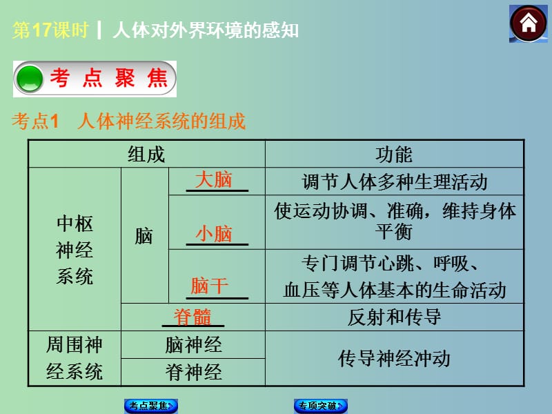 七年级生物下册 第17课时 人体对外界环境的感知课件 新人教版.ppt_第2页