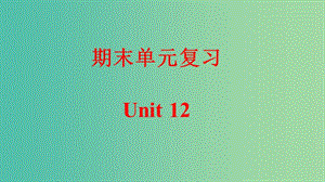 九年級英語全冊 期末單元復(fù)習(xí) Unit 12 Life is full of the unexpected課件 （新版）人教新目標(biāo)版.ppt