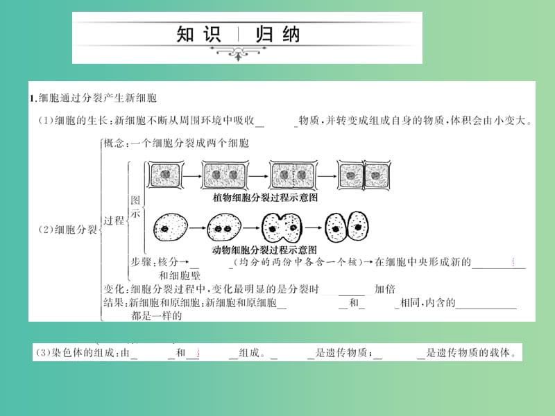 中考生物第一轮系统复习篇 第二单元 第二章 细胞怎样构成生物体课件.ppt_第2页