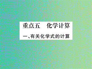 中考化學總復習 第二輪 重點知識突破 重點五 化學計算課件 魯教版.ppt