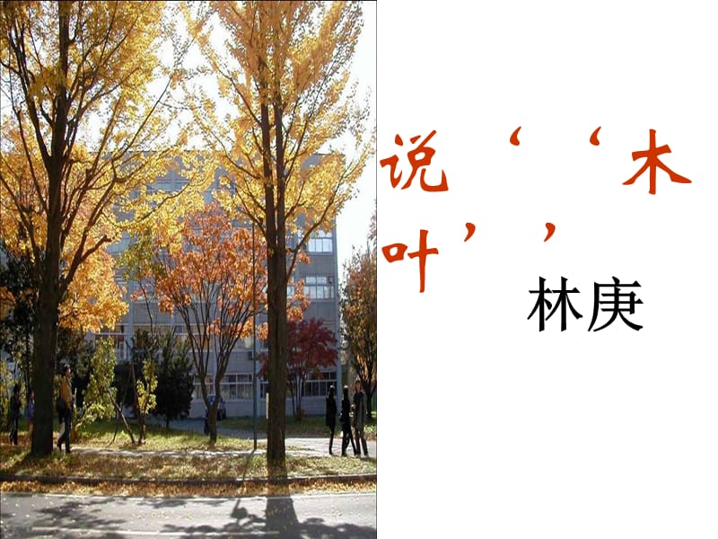 说木叶(三段式).ppt_第1页