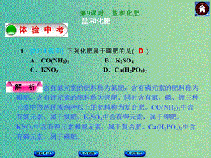 中考化學(xué)第一輪復(fù)習(xí) 第9課時(shí) 鹽和化肥課件 新人教版.ppt