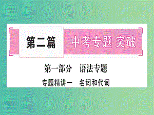 中考英語總復(fù)習(xí) 第二篇 中考專題突破 第一部分 語法專題 專題精講一 名詞和代詞課件 仁愛版.ppt