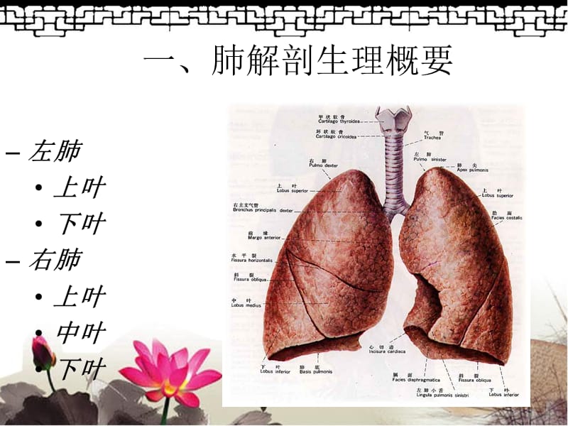 肺癌伴脑转移护理查房.ppt_第2页