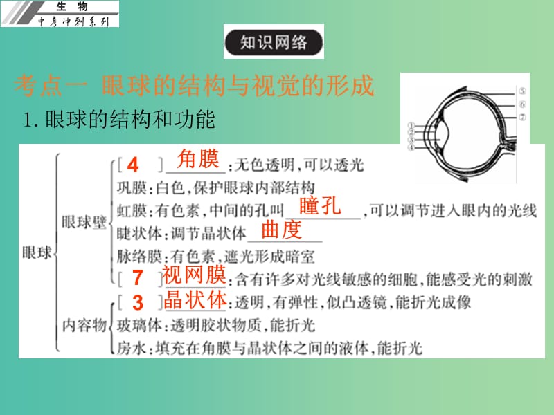 中考生物冲刺复习 基础梳理 第15章 人体生命活动的调节课件 新人教版.ppt_第3页