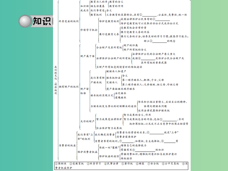 中考政治 备考集训 第一篇 系统复习 第十五讲 我们的文化、经济权利课件 新人教版.ppt_第3页