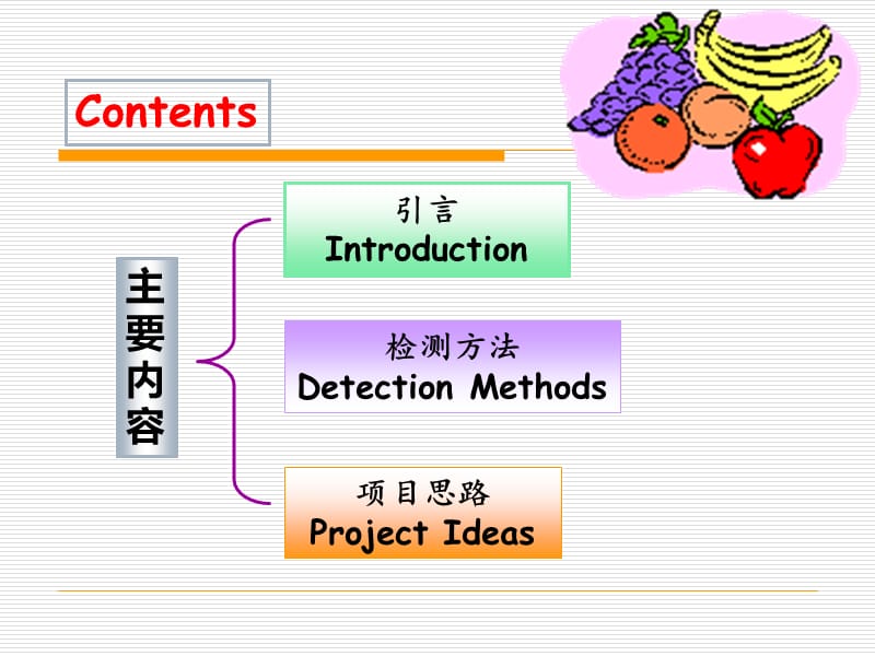 食品掺假问题解决方案.ppt_第2页