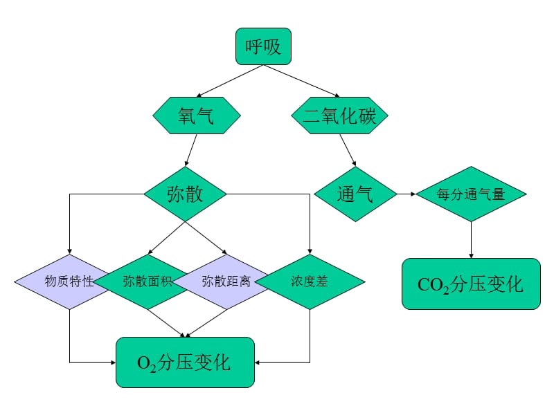 呼吸机的临床应用.ppt_第3页