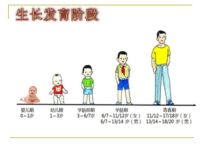 《青春期的变化》PPT课件.ppt_第3页