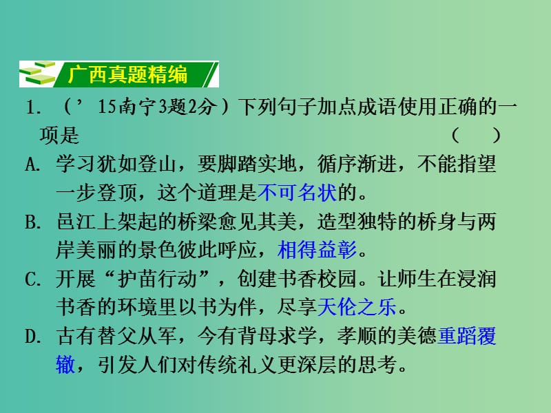 中考语文 第二部分 积累与运用 专题5 词语的理解与运用复习课件 新人教版.ppt_第2页