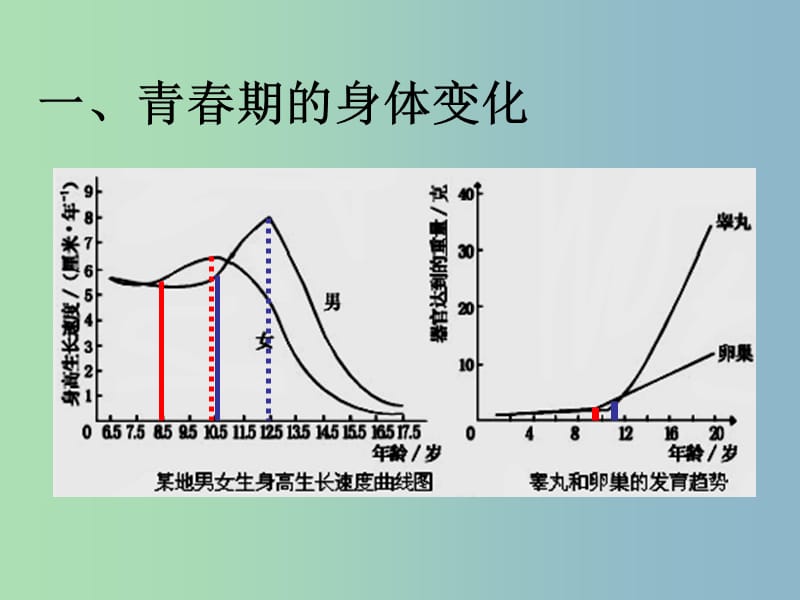 七年级生物下册 4.1.3 青春期课件2 新人教版.ppt_第3页