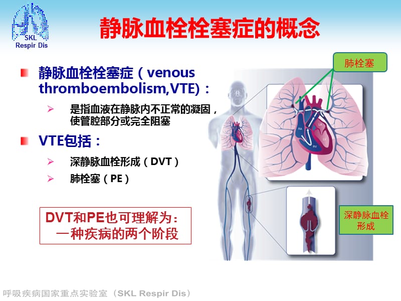 肿瘤相关深静脉血栓预防与治疗.ppt_第3页