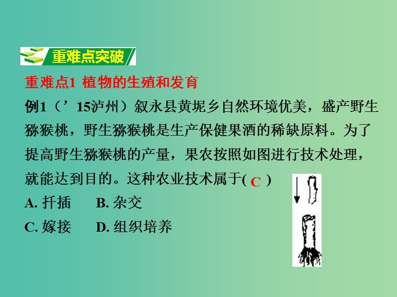 中考生物 第二部分 重点专题突破 专题七 动物的生殖、发育与遗传复习课件 济南版.ppt_第3页