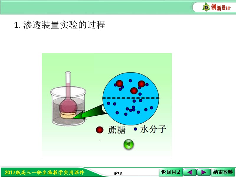 渗透装置实验ppt课件_第3页