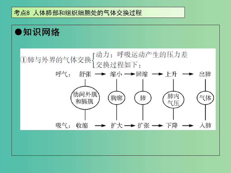 中考生物 第4单元 考点8 人体肺部和组织细胞处的气体交换过程课件 新人教版.ppt_第2页