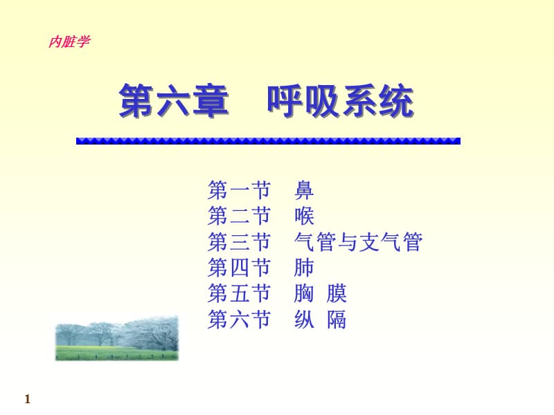 系统解剖学呼吸系统.ppt_第1页