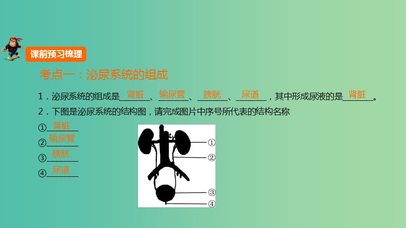 中考生物 第四单元 第十五章 人体内废物的排出复习课件 新人教版.ppt_第1页