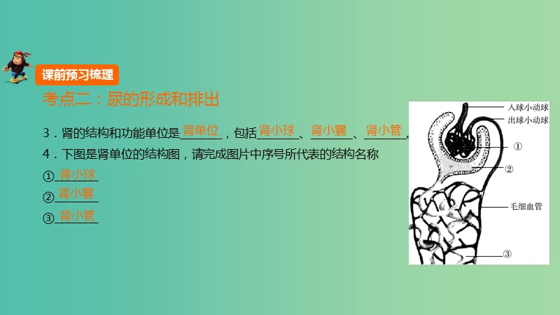 中考生物 第四单元 第十五章 人体内废物的排出复习课件 新人教版.ppt_第2页