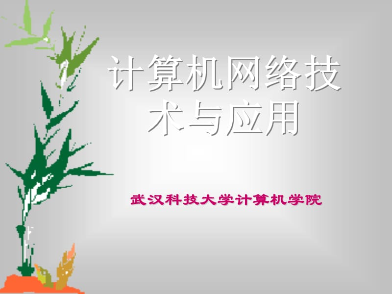 计算机网络技术与应用.ppt_第1页