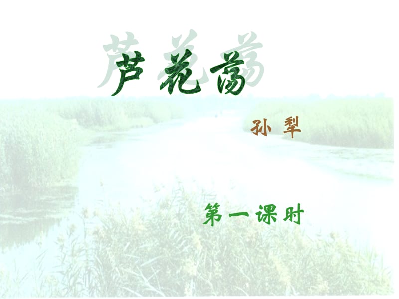 八年级语文上册 2 芦花荡课件 新人教版.ppt_第1页