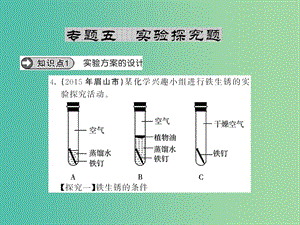 九年級化學下冊 專題五 實驗探究題課件 新人教版.ppt