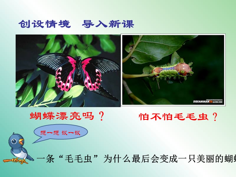 八年级生物下册 7.1.2 昆虫的生殖和发育课件 （新版）新人教版.ppt_第2页